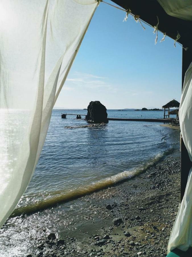 New Seafront Studio Guest House Anavyssos Exterior photo